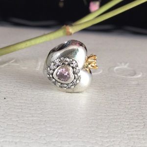 Pandora princess charm